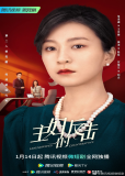 Контратака домохозяйки (сериал)
