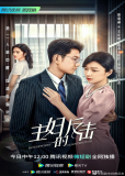 Контратака домохозяйки (сериал)