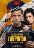 Инспектор Гаврилов (сериал)