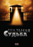 Работа над ошибками (сериал)