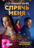 Спрячь меня (сериал)