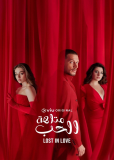 Спрячь меня (сериал)
