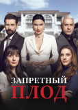 Запретный плод (сериал)