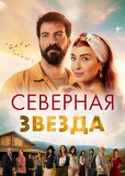 Северная звезда (сериал)