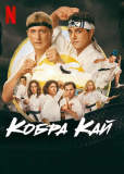 Кобра Кай (сериал)