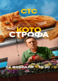 Котострофа (сериал)