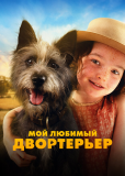 Мой любимый двортерьер