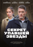 Секрет упавшей звезды (сериал)