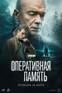 Оперативная память (сериал)