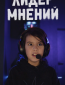 Лидер мнений (сериал)