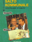 Муниципальный переворот (сериал)