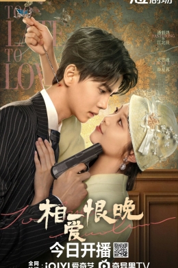 Слишком поздно любить (сериал)