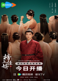 Лучший зять (сериал)