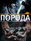 Порода (сериал)