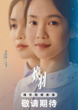 Перерождение (сериал)