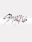 Stray Kids (сериал)