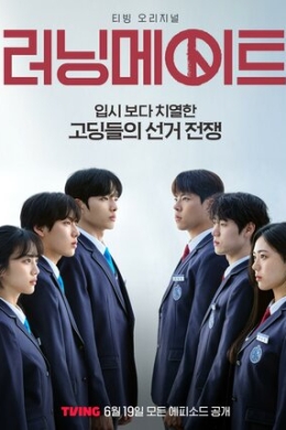 Напарник на выборах (сериал)