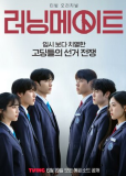 Напарник на выборах (сериал)