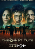 Институт (сериал)