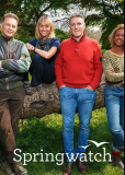 Весенний дозор (сериал)