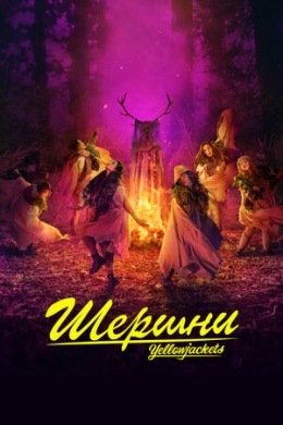 Шершни (сериал)