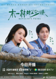 Жемчужина Му Илинь (сериал)