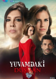 Враг в моем доме (сериал)