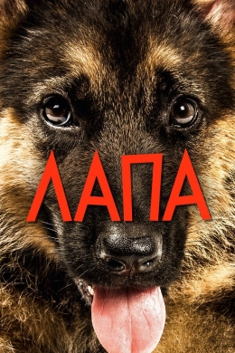 posterpic