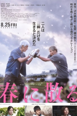 posterpic posterpic