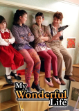 Моя замечательная жизнь (сериал)