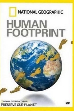 Экологический след человека Экологический след человека