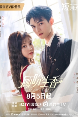 Смешанные чувства (сериал)