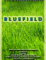 Bluefield