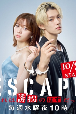 Это должно было быть похищение (сериал) Это должно было быть похищение (сериал)