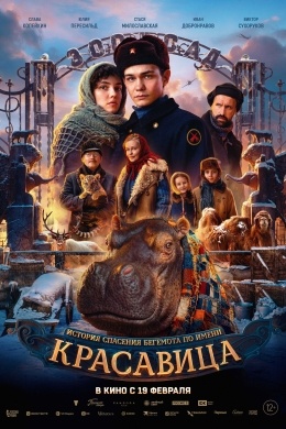 Красавица Красавица