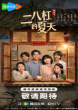 Лето на велосипеде (сериал)