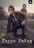 Гарри Уайлд (сериал)