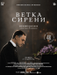 Ветка сирени