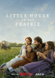 Маленький домик в прериях (сериал)