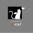 Studio A-CAT