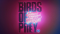 Birds of Prey (And the Fantabulous Emancipation of One Harley Quinn) 2020 4K Trailer