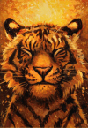 DrTiger