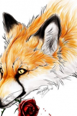 FoxAnimal