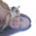 Helice