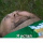 Loginregister98