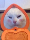 ShrEkjopty