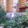 VasilijNaumov