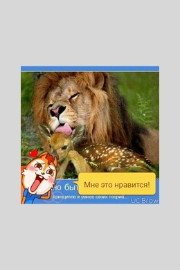 ZhenyaKvasha
