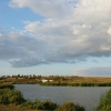 tamarakucherova