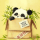 zen_panda_248